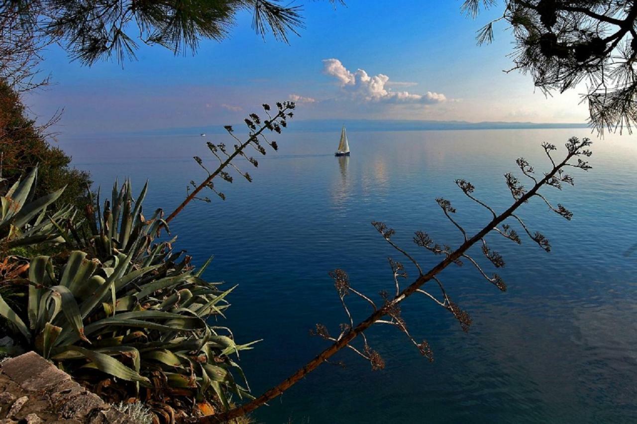 Olive Tree Daire Split Dış mekan fotoğraf
